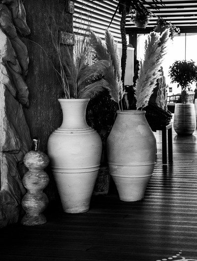 Vases & Planters