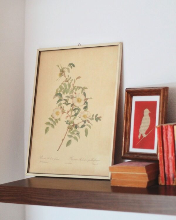 Wildwood Framed Botanical Wall Art