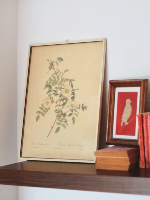 Wildwood Framed Botanical Wall Art